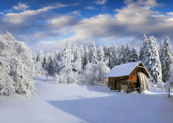 Sunny winter morning in Carpathian village with snow covered trees in garden.