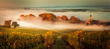 Sunset Landscape Bordeaux Wineyard France