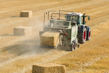 Tractor collects dry hay on the farm field and makes hay bales rear view