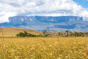 Wall Mural - Monte Roraima, Venezuela, America do Sul.