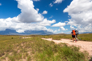 Wall Mural - Monte Roraima, Venezuela, America do Sul.