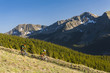 © Michael DeYoung/Blend Images - Caucasian couple mountain biking