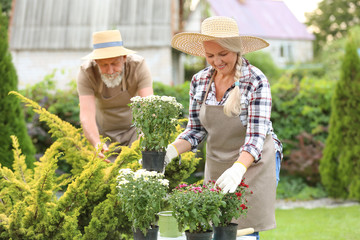 Elderly couple working in garden