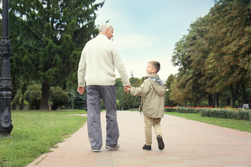 Elderly man with grandson in park