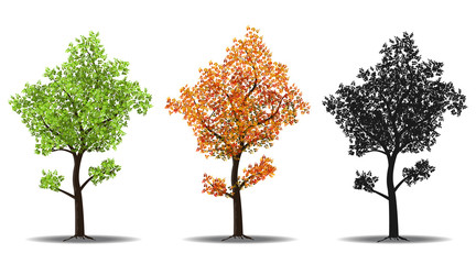 red, green and silhouettes tree