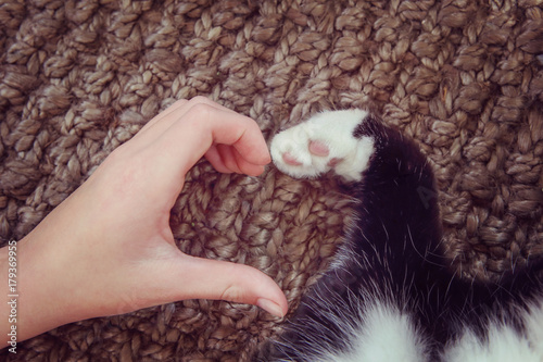 Fényképezés Person's hand and a cat's paw making a heart shape.
