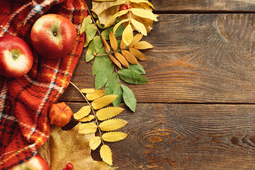 Wall Mural - Fall leaves and apples background. Autumn harvest concept