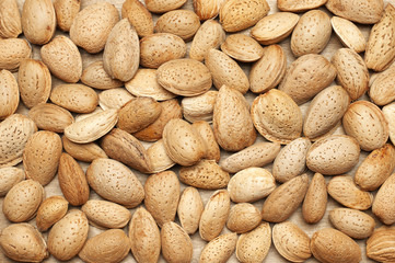 Sticker - Almonds heap close-up