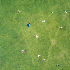 Wall Mural - People sunbathe on a green lawn, top view