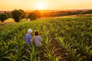  A farmer and his wife standing in their cornfield at sunset