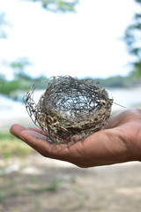 Birds nest in hand - Willpattu Sri Lanka 