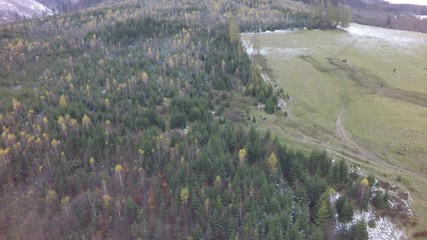 Sticker - Carpathian mountains in late autumn, aerial view, raw, 4K