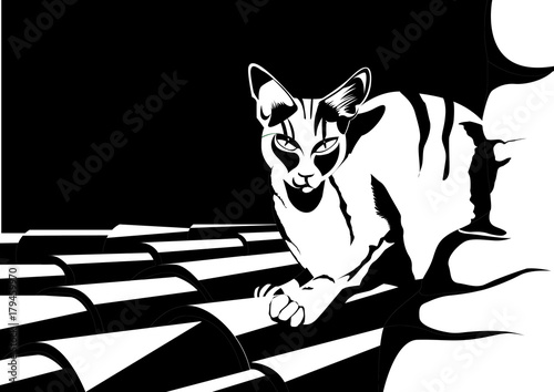 Chat Sur Un Toit En Noir Et Blanc Buy This Stock Vector