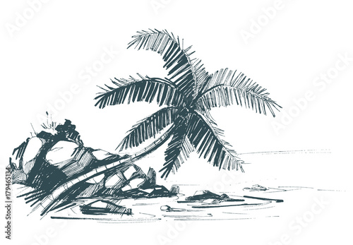 Fototapeta na wymiar Wektorowy rysunek tropikalnej plaży