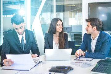 Wall Mural - Business people having meeting in modern office.