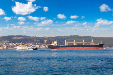 Wall Mural - Container ship in Dardanelles strait, Turkey