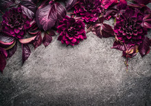 Dark Purple Floral Border With Flowers, Petal And Leaves On Gray Background, Top View, Place For Text