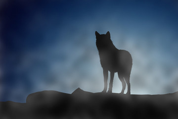 Wolf on a moonset