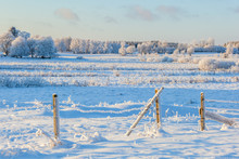 Wintry Landscape With Frost On Barbed Wire Fence