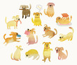 Cute Watercolor yellow dogs.