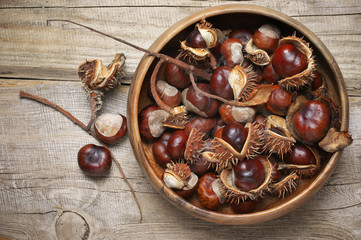 Wall Mural - Fresh horse chestnuts in bowl