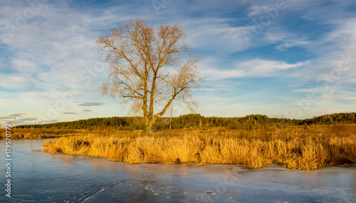 Plakat jesień krajobraz na zamarzniętej rzece z drzewami na brzegu, Rosja, Ural, listopad