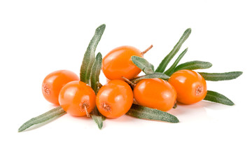 Sea buckthorn. Fresh ripe berry with leaves isolated on white background macro