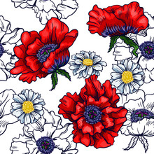 Vector Seamless Horizontal Border With Red Poppy And Chamomile. Graphic Illustration For Print.