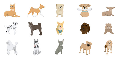 Wall Mural - Dogs breed set.