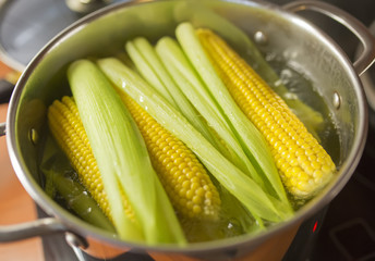 Boiling sweet corn in pot with leaves