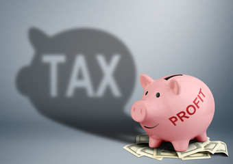 Piggy bank with shadow, tax and income concept