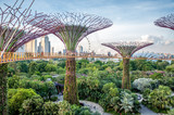 Fototapeta Morze - Jardins de Singapour