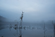 fog over pond