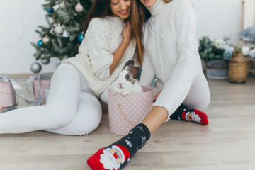 Wall Mural - Two happy, stylish and beautiful girls opened Christmas gifts and received a the rabbit.