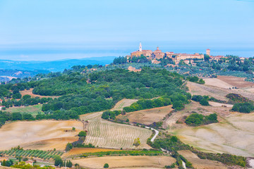 Wall Mural - Beautiful view of the Pienza and vineyards on a sunny autumn day, Tuscany, Italy