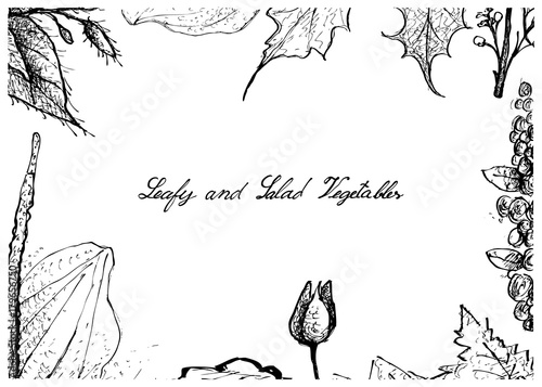 Fotografia, Obraz Hand Drawn of Leafy and Salad Vegetable
