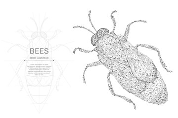 Poster - Bee low poly wireframe isolated black on white background. Abstract mash line and point origami. Vector illustration. Insect bees concept with geometry triangle. Light connection structure.
