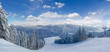 © An-T - Ski slope among spruce forest on ski resort in Carpathians