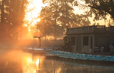 Wall Mural - boats in a lake during an foggy, autumn sunrise in a park. lyon, france.