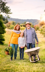 Senior couple with grandaughter gardening in the backyard garden