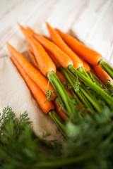 Fresh organic carrot