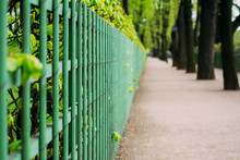 Green Wooden Fence In The Garden.