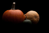Fototapeta  - Dynia,  Halloween, jesień, różne kolory