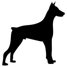 Silhouette Of A Dog.Vector Illustration Of Doberman Pinscher.