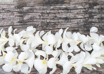 White Plumeria Flower lei garland flat lay on natural old aged grunge wood background.