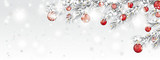 Fototapeta Panele - Frozen Twigs Sun Glitter Deco Red Baubles Snowfall Header