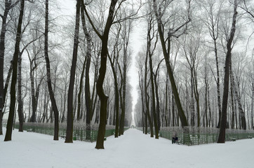  City Park in winter.