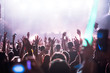 © NDABCREATIVITY - Cheering crowd with hands in air at music festival