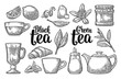Set tea with lettering. Vector vintage engraving