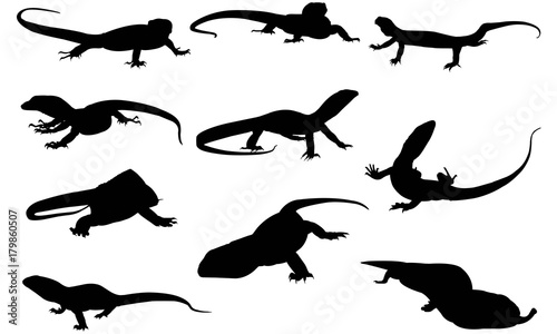 Cuadros en Lienzo Monitor lizard Silhouette Vector Graphics